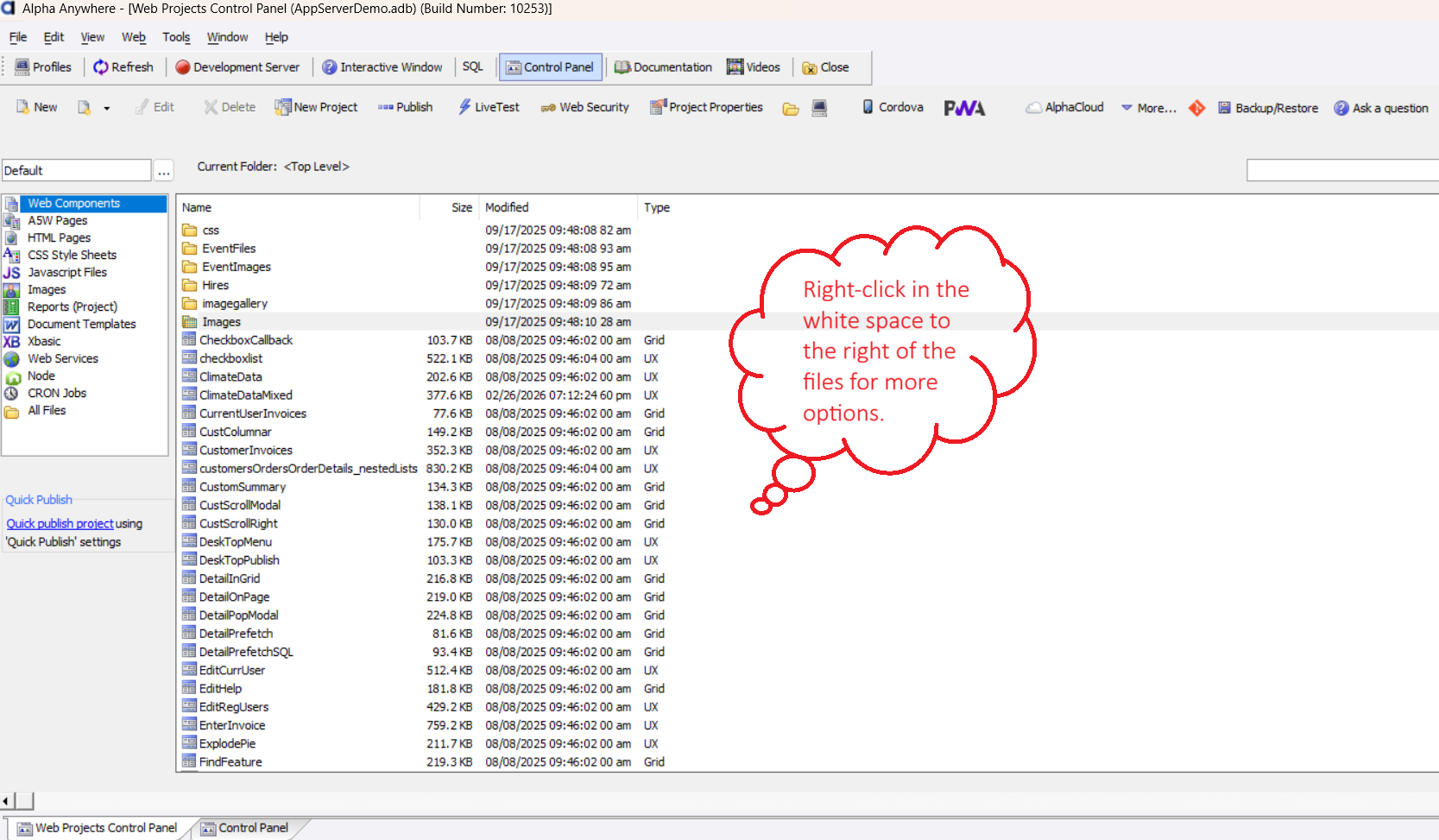 The Web Projects Control Panel showing project folders, components, and toolbar
commands.